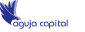 Aguja Capital: Wissenvorsprung in ineffizienten Märkten
