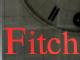 Fitch senkt Bonität von fünf Euro-Ländern