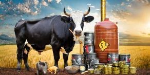 Rohstofffonds sind unkorreliert mit Aktien und Anleihen (Bild: Adobe Firefly AI)