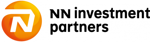NN IP Logo