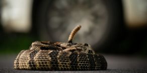 Zölle verunsichern die Märkte – aber Schwellenländeranleihen halten stand