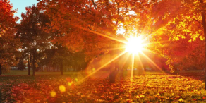 Lokale Märkte glänzen in einem soliden Quartal für Schwellenländeranleihen