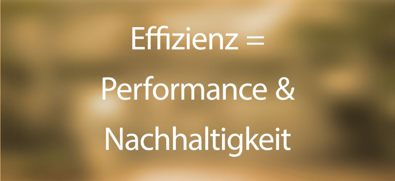 Effectual Capital Fund - Global Sustainable Equities