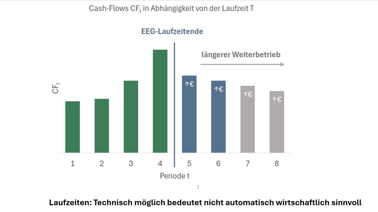 Entwicklung Cash-Flows