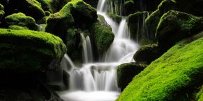 Nachhaltige Geldanlage liegt voll im Trend.