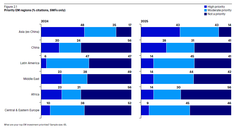 Schwerpunktregionen der Emerging Markets (Anteil der Nennungen in %, nur Staatsfonds)