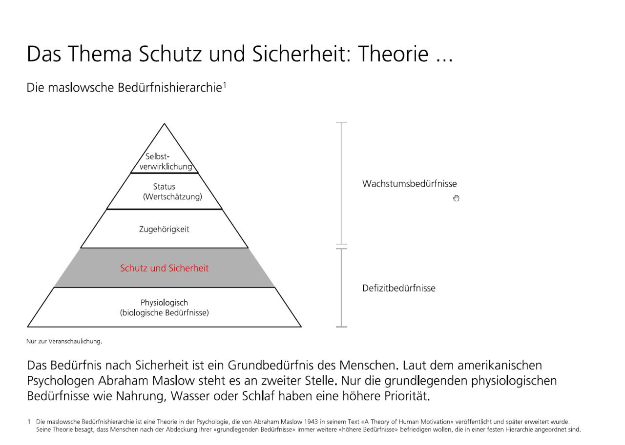 Bedürfnis nach Schutz und Sicherheit