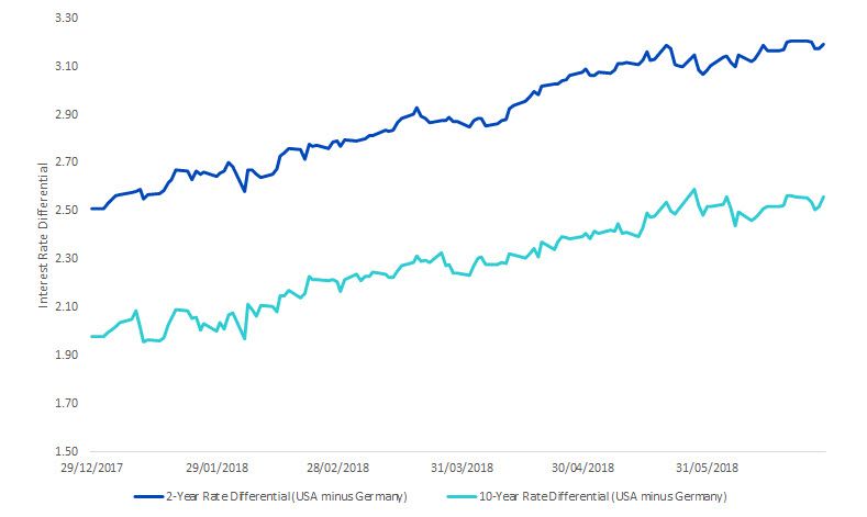 Wisdom Tree 2 und 10