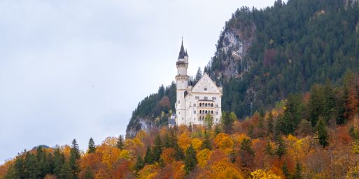 Blick auf Schloss Neuschwanstein