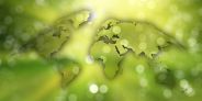 Green Planet (Foto: Gerd Altmann auf Pixabay)