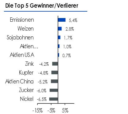 ETF Securities Top5 Verlierer