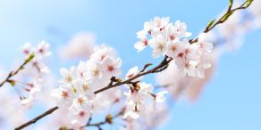 Die starke internationale Ausrichtung japanischer Unternehmen könnte sich gerade in Zeiten geopolitischer Unsicherheit als Vorteil erweisen.