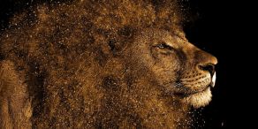 Ich empfehle: iShares Gold Producers UCITS ETF (Foto: efes auf Pixabay)