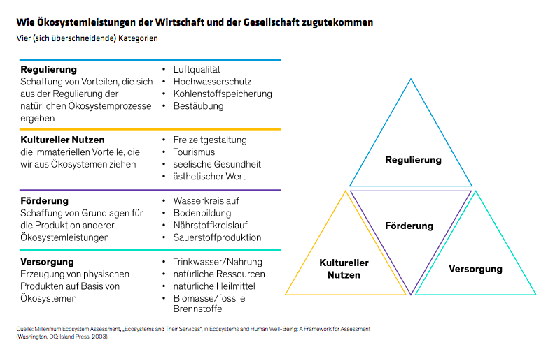 o-connell-rosner-tsoupros_nurturing-nature-why-investors-should-care_display-1_d2_de