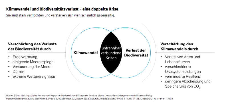 o-connell-rosner-tsoupros_nurturing-nature-why-investors-should-care_display-2_d2_de