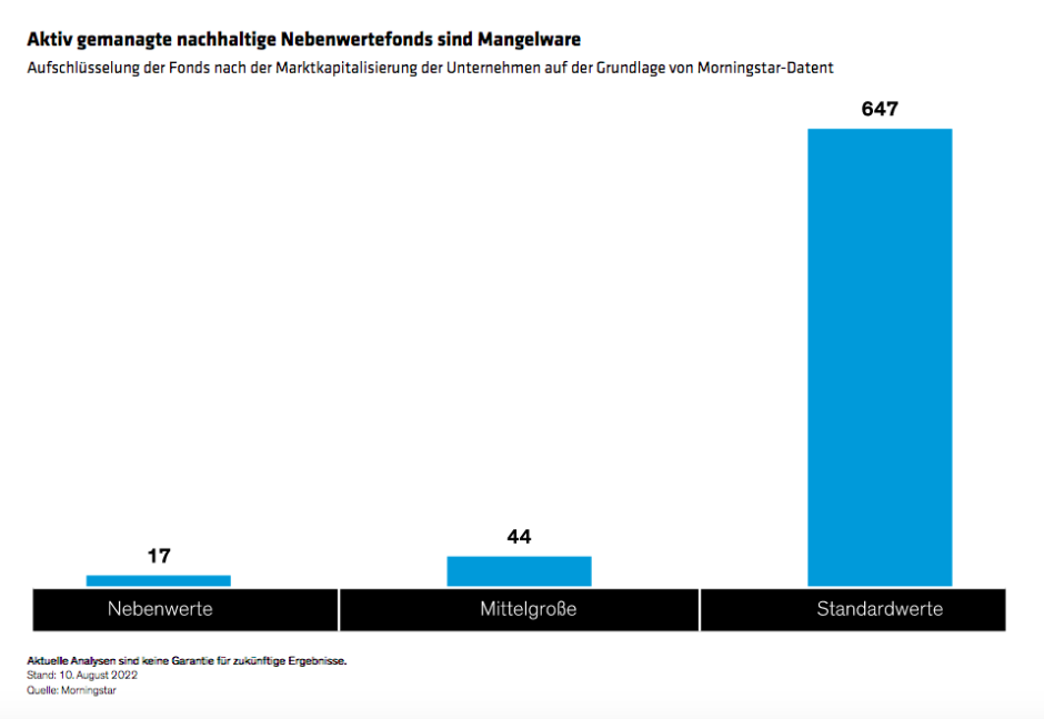 Bryan_Finding-the-ESG-Edge-in-Global-Small-Cap-Stocks_display-2_d2-DE