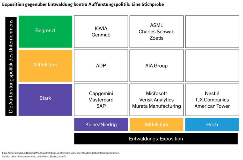 Exposition gegenüber Entwaldung kontra Aufforstungspolitik: Eine Stichprobe