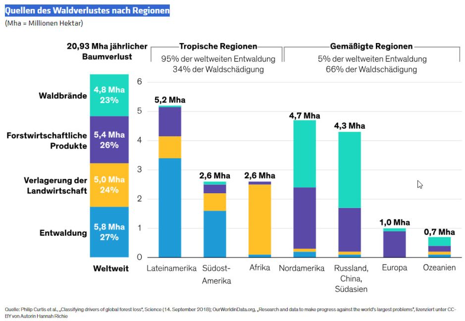 Quellen des Waldverlustes nach Regionen