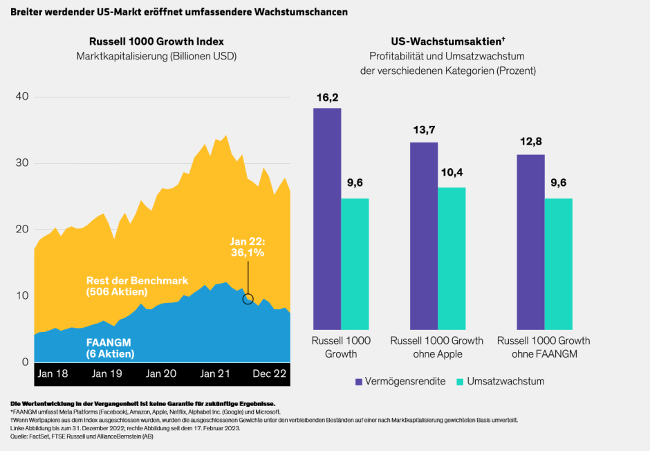 Fogarty-Thapar_Remaining-Growth-A-Market-Beyond-Megacaps_display1_d4_DE