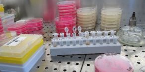 AB: Vitale Aktien im volatilen Gesundheitssektor finden