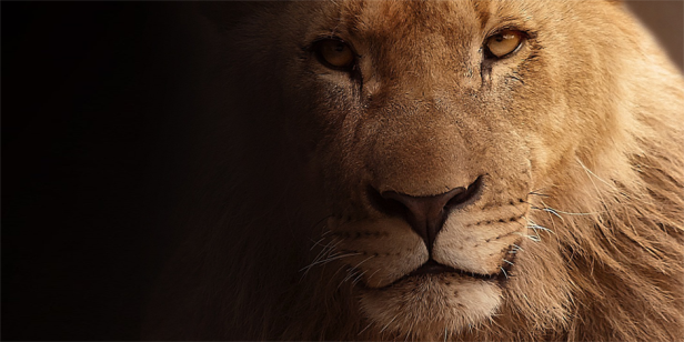 AB: High-Yield – Stabil in stürmischen Zeiten