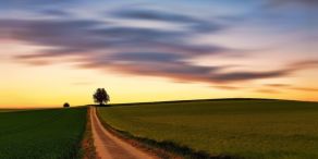 AB: Ausblick für den Anleihenmarkt 2025 – Fruchtbarer Boden