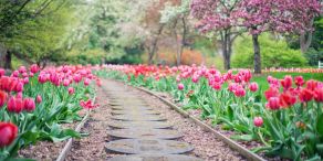 Konstantes Wachstum in unbeständigen Aktienmärkten (Foto: Jill Wellington auf Pixabay)