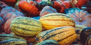 AB – Anleihen: Sechs Strategien für die Erntezeit