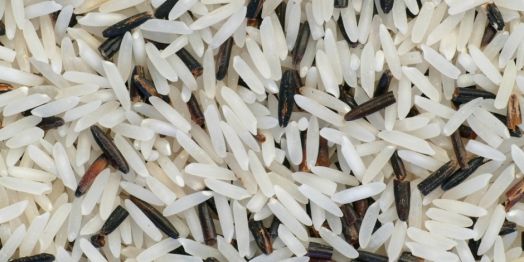 AB: Moderne Sklaverei - Wie Anleger den Opfern helfen können