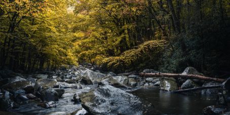 Blended Finance - Die Finanzierungslücke für Nachhaltigkeit überbrücken (Foto: Pixabay)