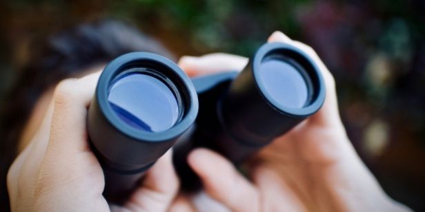 AB: Das Rauschen ausblenden – Strategien für Wachstumsanleger