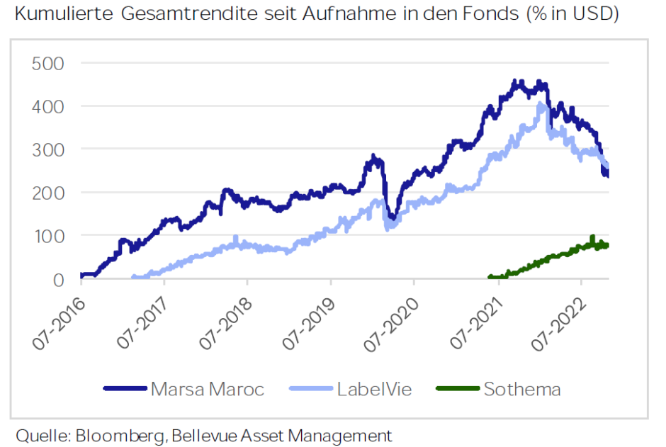 Kumulierte Gesamtrendite seit Aufnahme in den Fonds