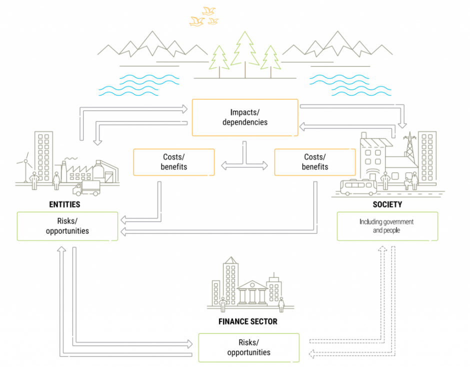 BNP-PAM-biodiversity-exhibit-1-1-1024x800