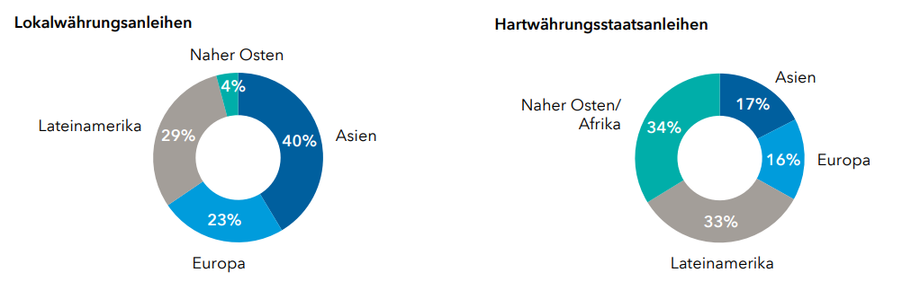 Hard-local-currency_916x416px