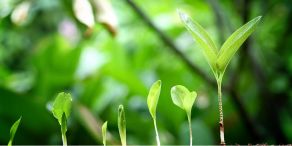 Capital Group: Meta verändert das Narrativ über Dividenden in der Welt von Big Tech