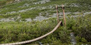 Capital Group: Schlaglicht – Trump‘s Zinspause