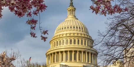 Capital Group: USA und US-Dollar haben noch immer eine Sonderstellung