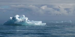 Physische Klimarisiken - Viele Unternehmen sind nicht vorbereitet | #Klimarisiken #Wirtschaft (Foto: Markus Kammermann auf Pixabay)