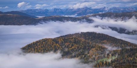 Comgest: Herbstlicher Rückenwind für Qualitätswachstum