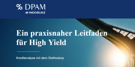 Ein praxisnaher Leitfaden für High Yield - Kreditanalyse mit dem Stethoskop