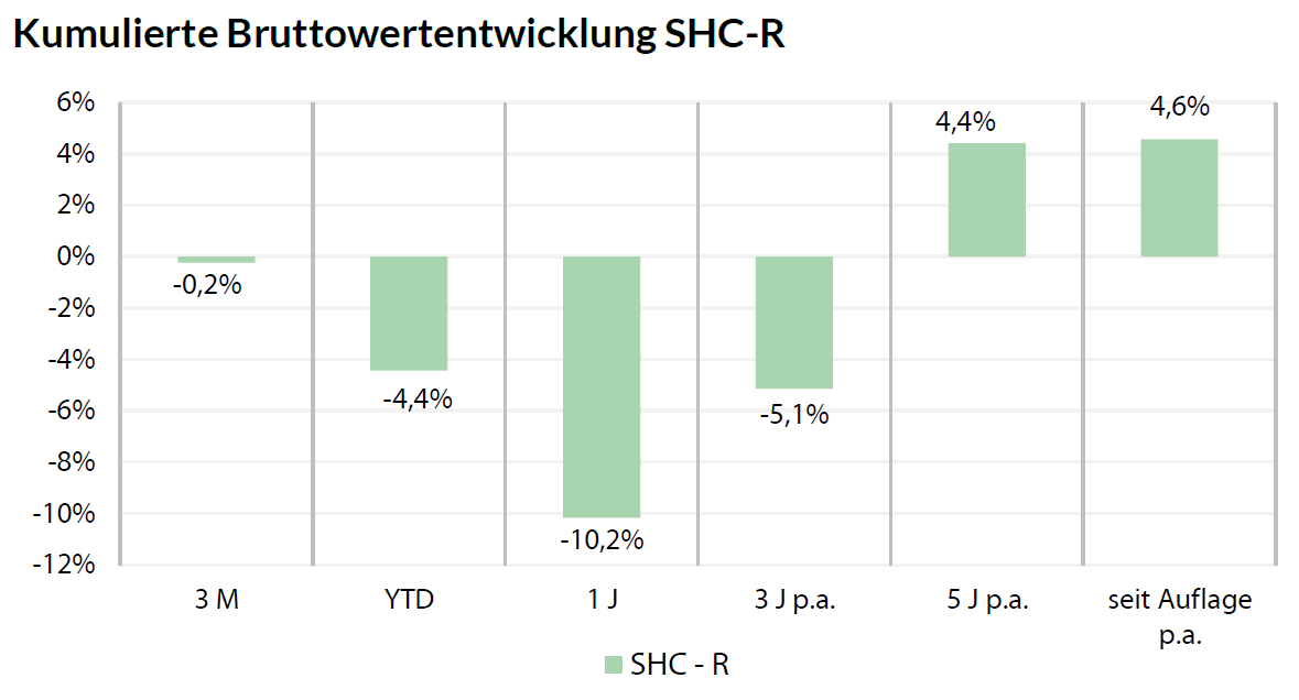 Bruttowerteentwicklung