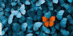 Fondsboutiquen punkten durch Einzigartigkeit