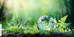 avesco: Staatsfonds - der alternative Weg in eine nachhaltige Zukunft?