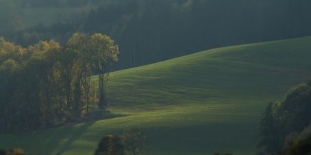 EFFECTUAL: Nachhaltigkeit. Effizienz. Performance