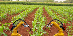 Erkenntnisse zu Innovationen – Quartalsupdate: 2. Quartal 2026