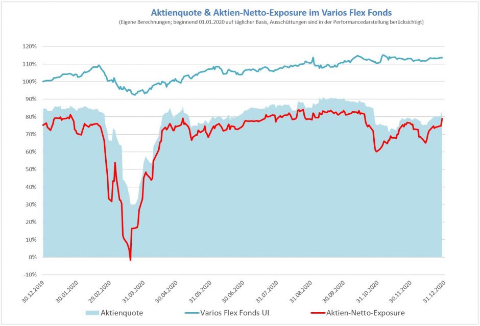 202012 - Varios Flex - Bild 2 - ANE