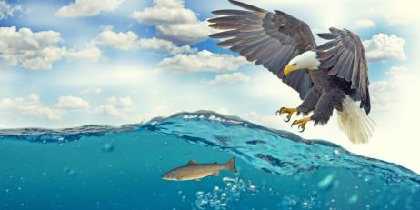 Signal Iduna AM: Was mir behagt, ist nur die muntre Jagd! 