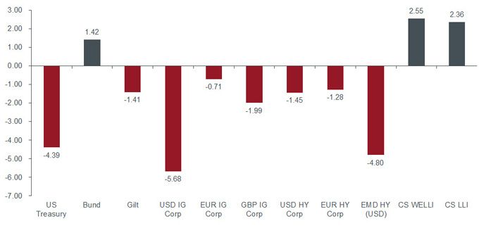 a difficult year for most fixed income assets, % return