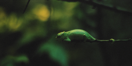 M&amp;G Investments: Quartalsausblick auf Aktien und Multi Asset-Märkte – 3. Quartal 2025