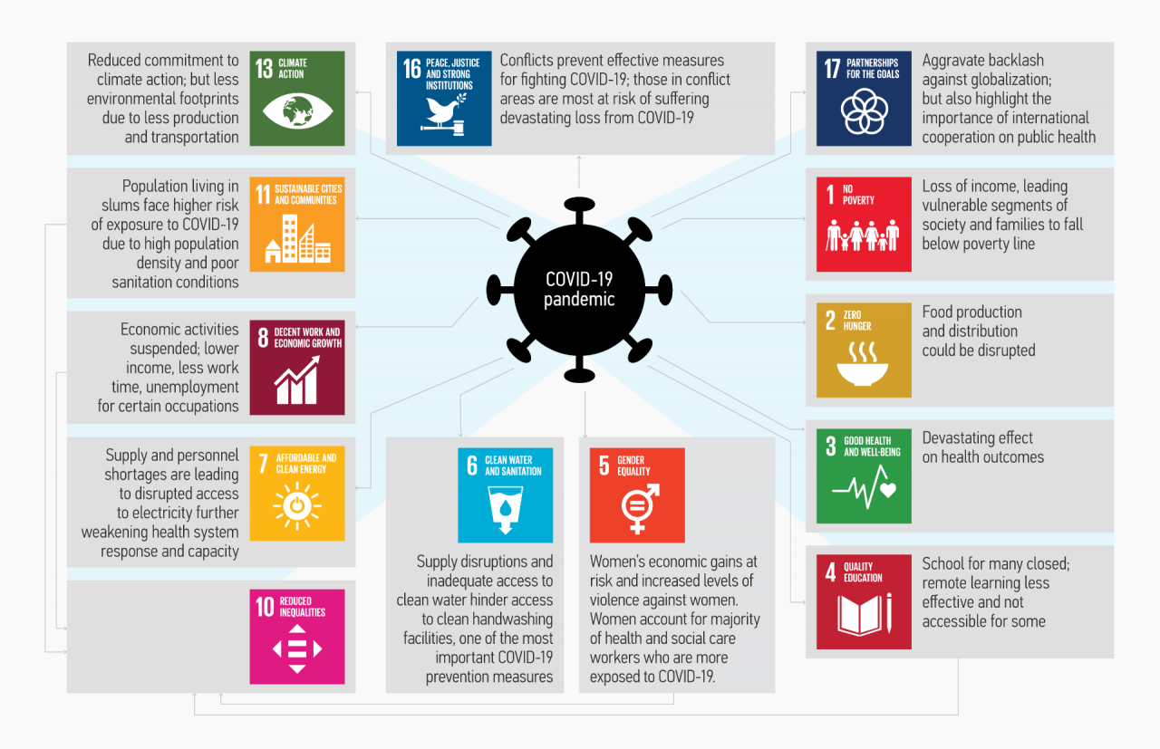 Display 1: Socio-economic impacts of COVID-19 based on the Sustainable Development Goals